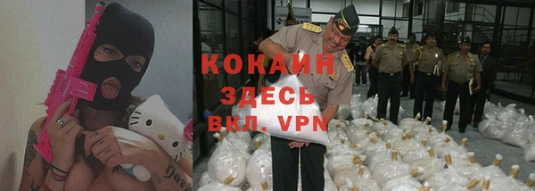 ешки Алзамай