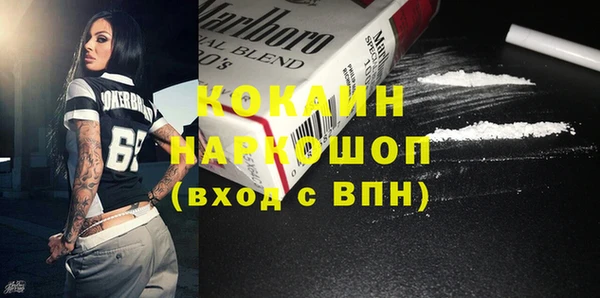 молекула духа Алексин