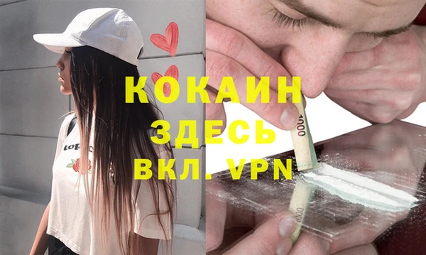 молекула духа Алексин