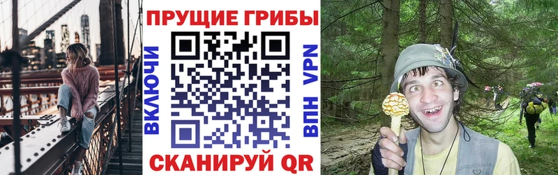 Галлюциногенные грибы мухоморы  купить наркотик  Полысаево 
